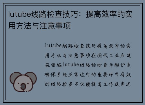 lutube线路检查技巧：提高效率的实用方法与注意事项